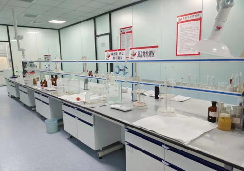 河北邢臺(tái) “小巨人”成香餑餑，領(lǐng)跑產(chǎn)業(yè)技術(shù)開發(fā)加速度